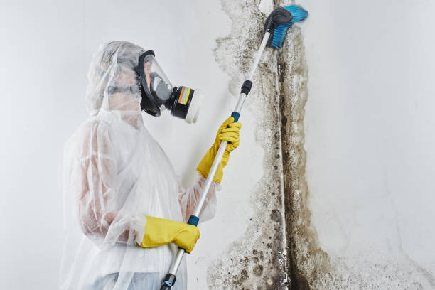 Best Crawl Space Mold Removal  in Lynden, WA
