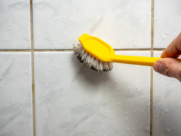 Best Emergency Mold Removal  in Lynden, WA