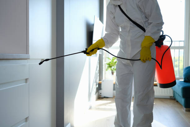 Best Residential Mold Removal  in Lynden, WA